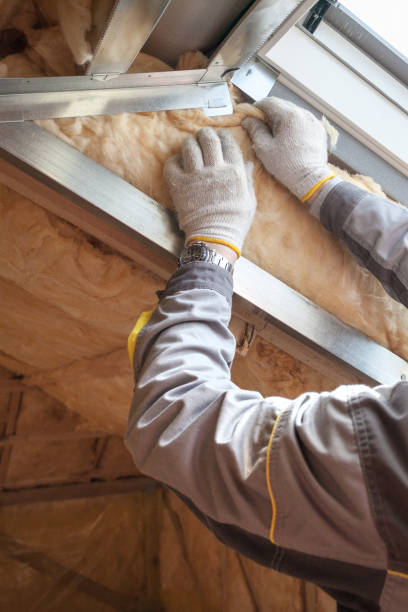 Best Local Insulation Services  in Grand Bay, AL